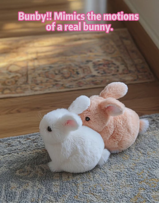 THE FUN RABBIT 2025
